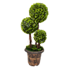 Artificial Plant