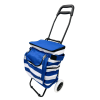 Trolley with Cooling Bag