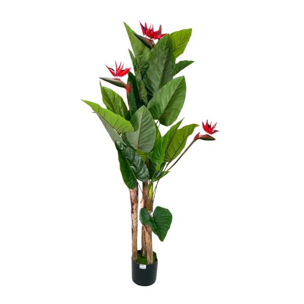 Artificial Plant