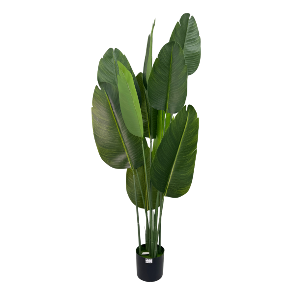 Artificial Plant