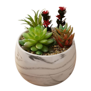 Artificial Succulent in Marble Potter (2 for $150)