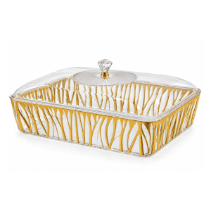 Acrylic Storage Container