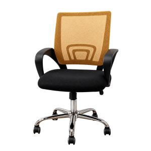Office Chair (US-M6055C-2)